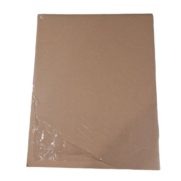 Buffalo Warrior by Detha Watson Native American Fine Art Matted Print - Picture 6 of 7